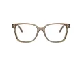 Jimmy Choo Brillen JC 3038D 5051