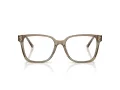 Jimmy Choo Brillen JC 3038D 5051