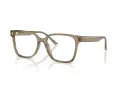 Jimmy Choo Brillen JC 3038D 5051