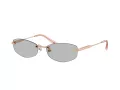 Jimmy Choo Zonnebril JC 4013D 300887