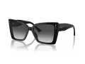 Jimmy Choo Zonnebril JC 5001B 50008G