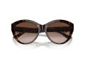 Jimmy Choo Zonnebril JC 5007 500213
