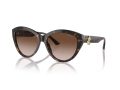Jimmy Choo Zonnebril JC 5007 500213