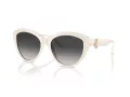 Jimmy Choo Zonnebril JC 5007 50088G