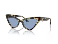 Jimmy Choo Zonnebril JC 5008 500472