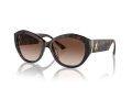 Jimmy Choo Zonnebril JC 5013U 500213