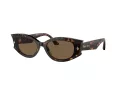 Jimmy Choo Zonnebril JC 5015U 500273