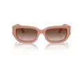 Jimmy Choo Zonnebril JC 5017 503213