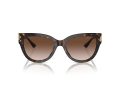 Jimmy Choo Zonnebril JC 5018U 500213