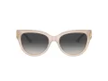 Jimmy Choo Zonnebril JC 5018U 50258G