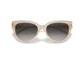 Jimmy Choo Zonnebril JC 5018U 50258G