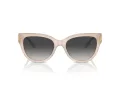 Jimmy Choo Zonnebril JC 5018U 50258G
