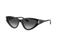 Jimmy Choo Zonnebril JC 5019 50008G