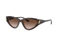 Jimmy Choo Zonnebril JC 5019 500213