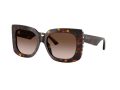 Jimmy Choo Zonnebril JC 5025H 500213