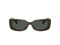 Jimmy Choo Zonnebril JC 5029U 506087