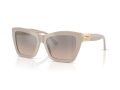 Jimmy Choo Zonnebril JC 5031 50336I