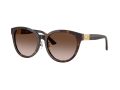 Jimmy Choo Zonnebril JC 5032D 50028G