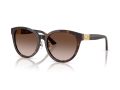 Jimmy Choo Zonnebril JC 5032D 50028G
