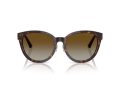 Jimmy Choo Zonnebril JC 5032D 5002T5