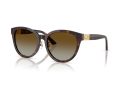 Jimmy Choo Zonnebril JC 5032D 5002T5