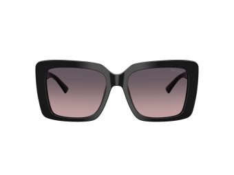 Jimmy Choo Zonnebril JC 5042 500046