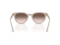 Jimmy Choo Zonnebril JC 5043D 50333B