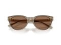 Jimmy Choo Zonnebril JC 5043D 505173