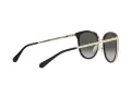 Michael Kors Adrianna Bright Zonnebril MK 1099B 3005/8G