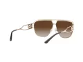 Michael Kors Vienna Zonnebril MK 1102 1014/13