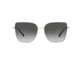 Michael Kors Bastia Zonnebril MK 1108 1014/8G