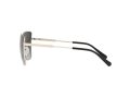 Michael Kors Bastia Zonnebril MK 1108 1014/8G