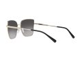 Michael Kors Bastia Zonnebril MK 1108 1014/8G
