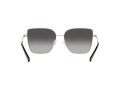 Michael Kors Bastia Zonnebril MK 1108 1014/8G