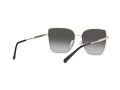 Michael Kors Bastia Zonnebril MK 1108 1014/8G