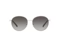 Michael Kors Alpine Zonnebril MK 1119 1014/8G
