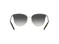 Michael Kors Salt Lake City Zonnebril MK 1120 1014/8G