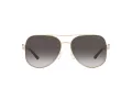 Michael Kors Chianti Zonnebril MK 1121 1014/8G