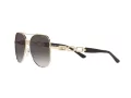 Michael Kors Chianti Zonnebril MK 1121 1014/8G