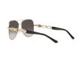 Michael Kors Chianti Zonnebril MK 1121 1014/8G