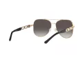 Michael Kors Chianti Zonnebril MK 1121 1014/8G