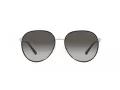 Michael Kors Empire Zonnebril MK 1128J 10148G