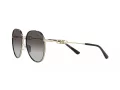 Michael Kors Empire Zonnebril MK 1128J 10148G