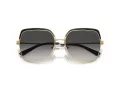Michael Kors Greenpoint Zonnebril MK 1141 10148G
