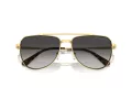 Michael Kors Whistler Zonnebril MK 1155 18968G