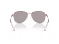 Michael Kors Biarritz Zonnebril MK 1160 11086X