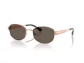 Michael Kors Monte Carlo Zonnebril MK 1161 1108/3