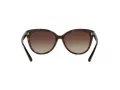 Michael Kors Jan Zonnebril MK 2045 300613