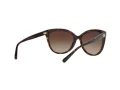 Michael Kors Jan Zonnebril MK 2045 300613