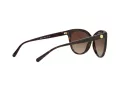 Michael Kors Jan Zonnebril MK 2045 300613